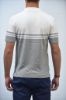 Bild von HERREN POLO DIKTAT D37039 BIANCO GRIGIO