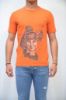 Bild von T-SHIRT ALESSANDRINI M6541E643 ARANCIO